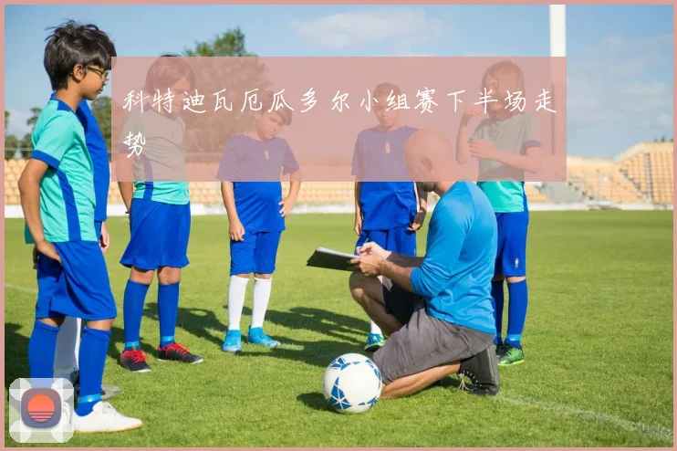科特迪瓦厄瓜多尔小组赛下半场走势 · 用户常问