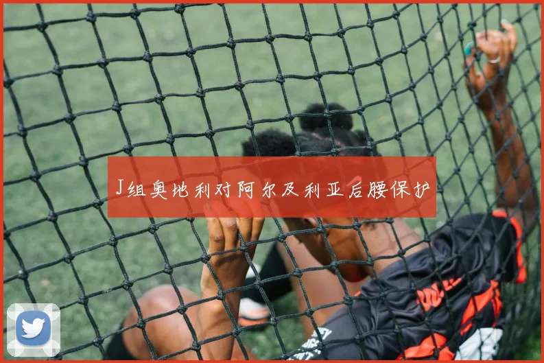 J组奥地利对阿尔及利亚后腰保护