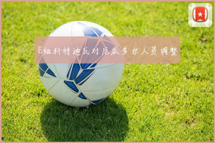 E组科特迪瓦对厄瓜多尔人员调整