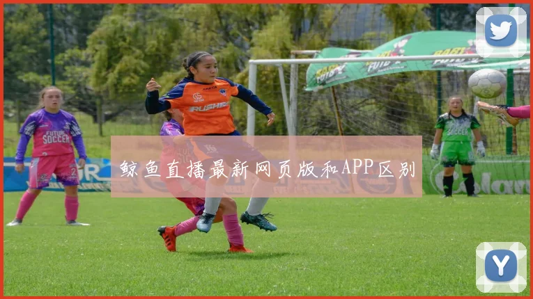 鲸鱼直播最新网页版和APP区别